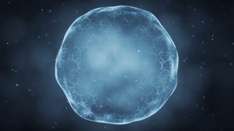 一次性生物反应器：揭秘其背后的技术奥秘与应用价值