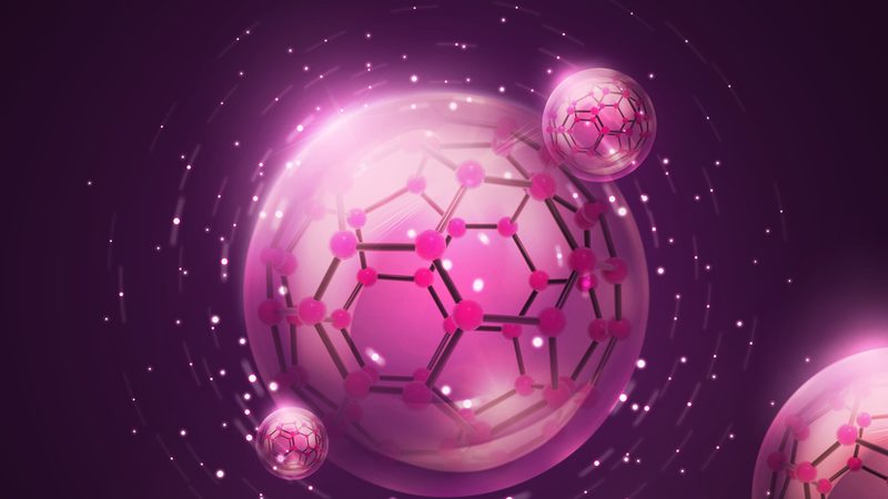 原代细胞培养：揭秘生物科技研究的关键步骤**