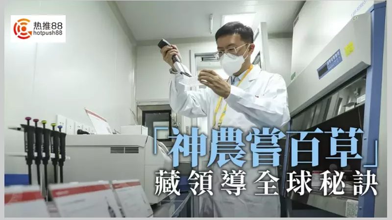 北京CRO优化：用户体验与专业服务的差异化解析