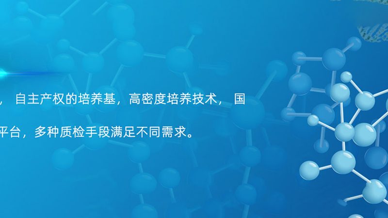 宠物抗体检测试剂盒安装，这些细节不能忽视**