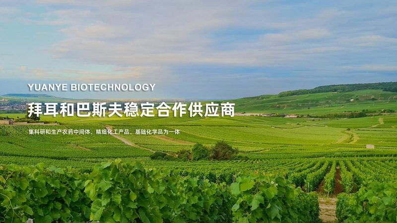 引物合成，为何一条起订量？揭秘背后的奥秘**