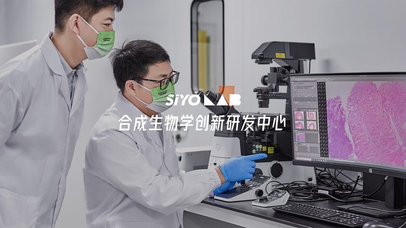 杭州生物医药研发外包机构