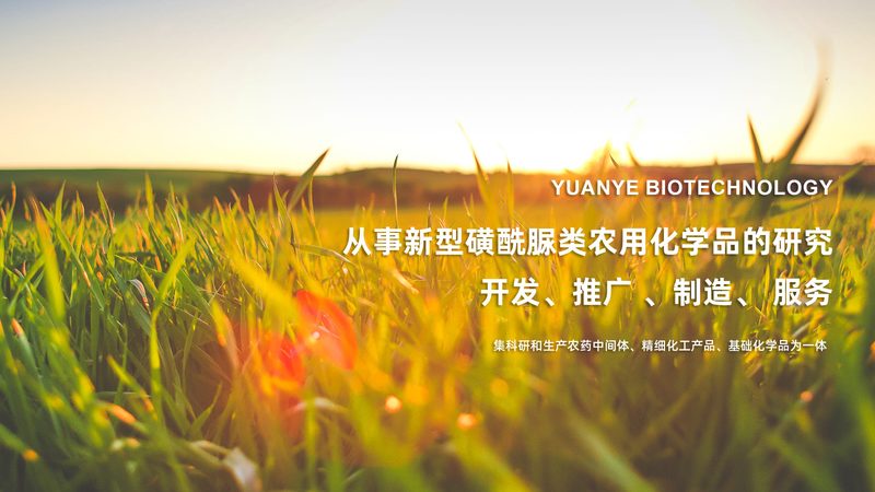 CRo平台：揭秘医药研发背后的技术支持力量