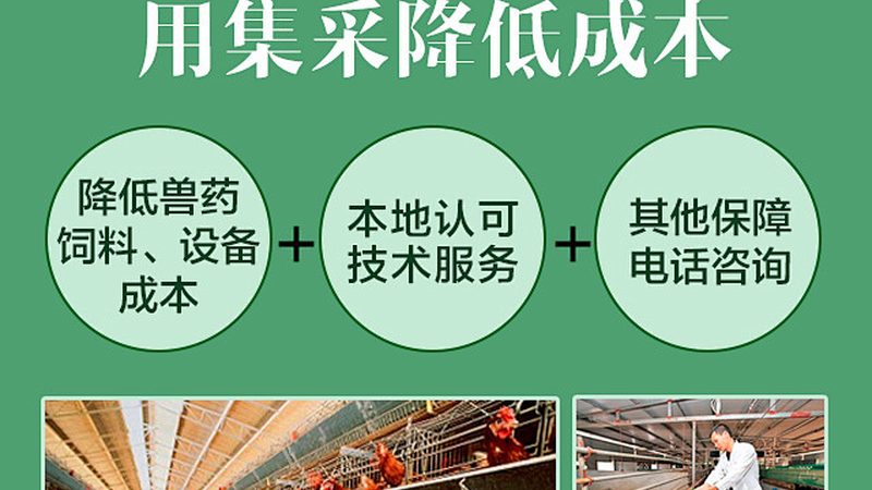 基因测序服务：北京地区选择与注意事项