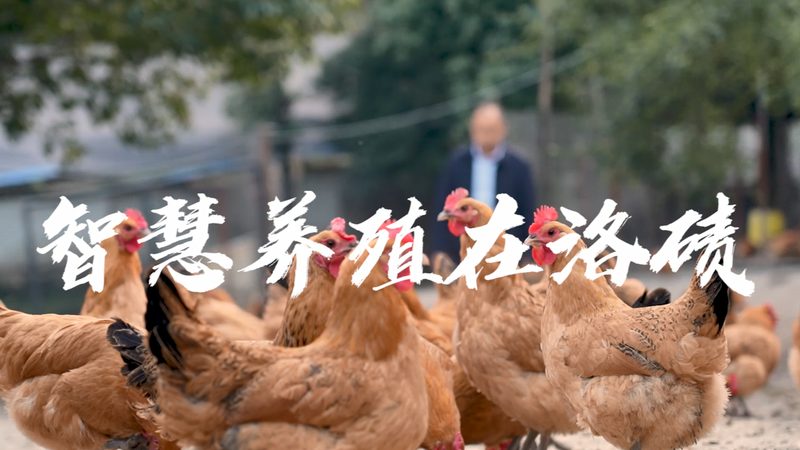 上海实验室耗材采购流程：关键环节与注意事项