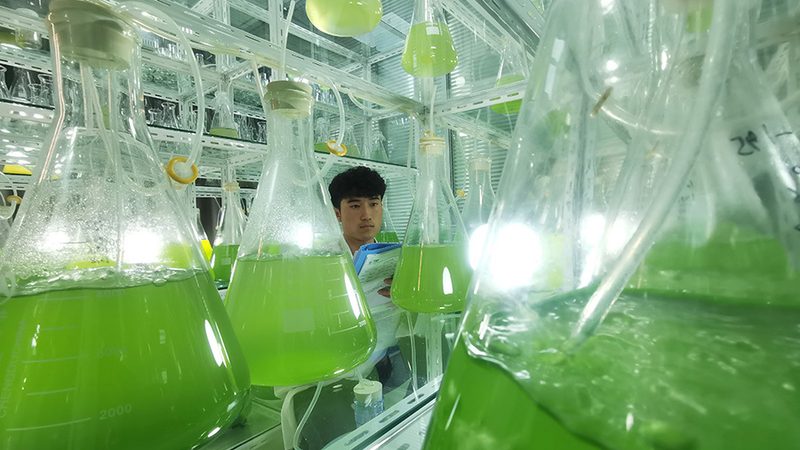 细胞培养皿批发，如何选择性价比之选？**